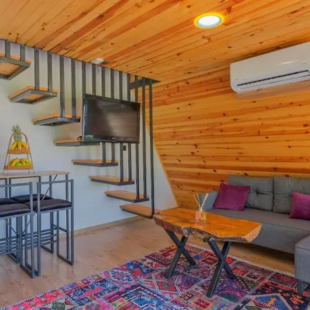 Villa Liva Bungalov *